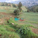 1.29-Acre, Versatile Land for Sale at Kenscoff 74, Haiti - Superb Location