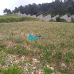 3.7 Acres Clear Title Land For Sale In Godet, Kenscoff 74 Near Le Montcel