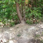 3225 Square Meter Land for Sale in Peguy Ville, Petionville, Haiti