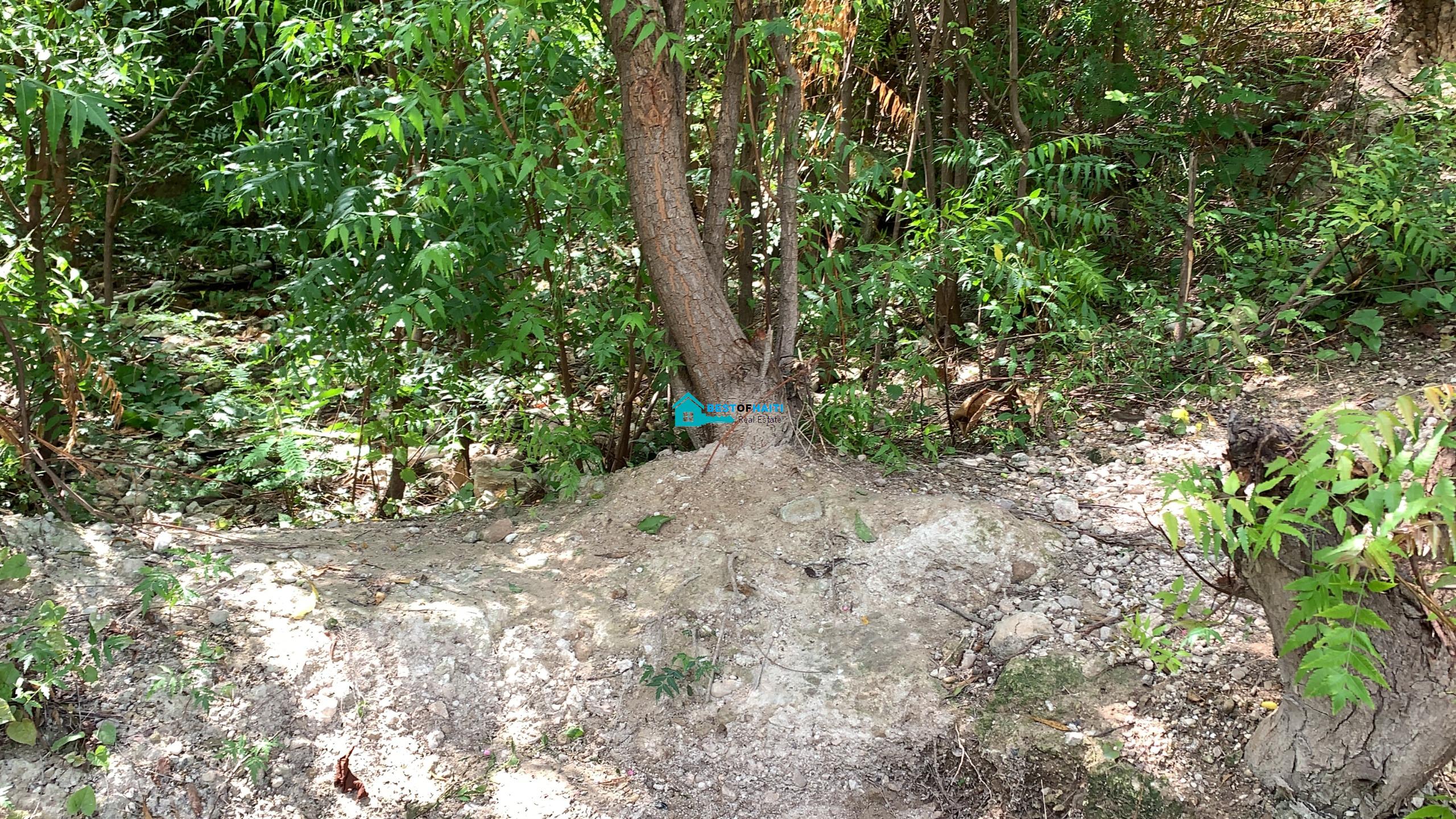 3225 Square Meter Land for Sale in Peguy Ville, Petionville, Haiti