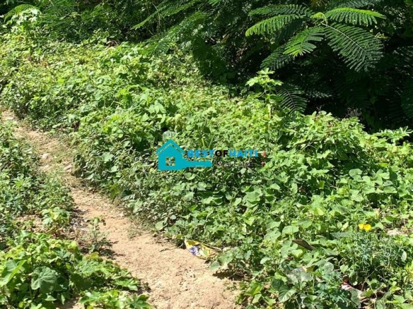 8 Hundredth (Centième) of Land for Sale in Vivy Mitchell, Petion Ville, Haiti
