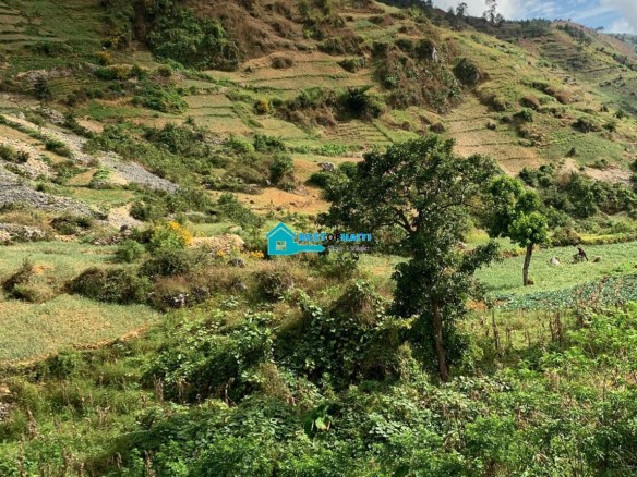 1,000 Centième of Farm Land for Sale in Kenskoff, Belo, Haiti - Buy Pieces