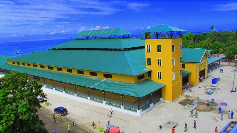 Why Buying Land for Sale in Arcahaie and Petionville, Haiti