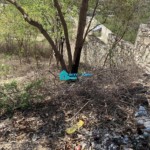 29 Centieme, Premier Land for Sale in Vivy Mitchell, Petion-Ville, Haiti