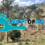 300+ Acres of Prime Land for Sale in Kenscoff, Port-au-Prince, Haiti