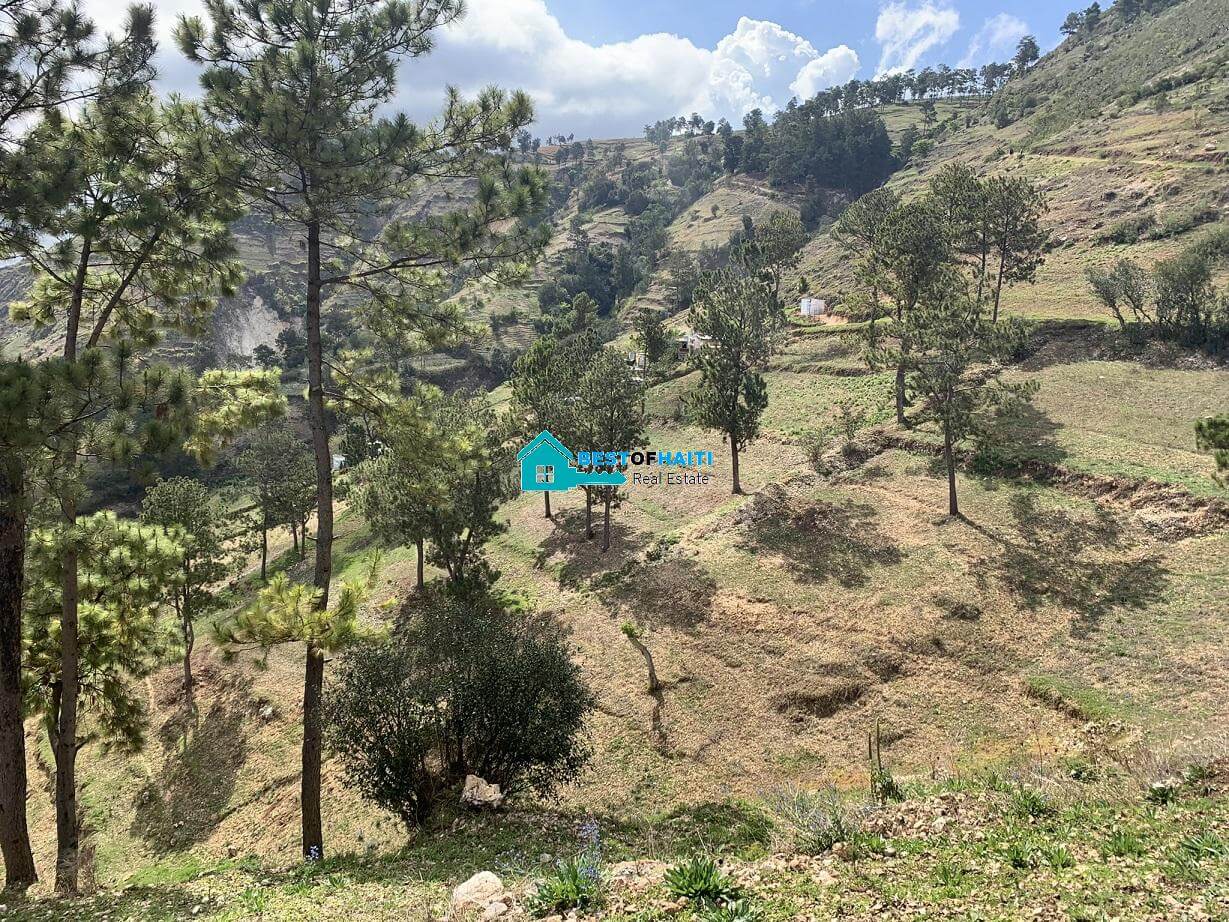 300+ Acres of Prime Land for Sale in Kenscoff, Port-au-Prince, Haiti 300+ Acres of Prime Land for Sale in Kenscoff, Port-au-Prince, Haiti