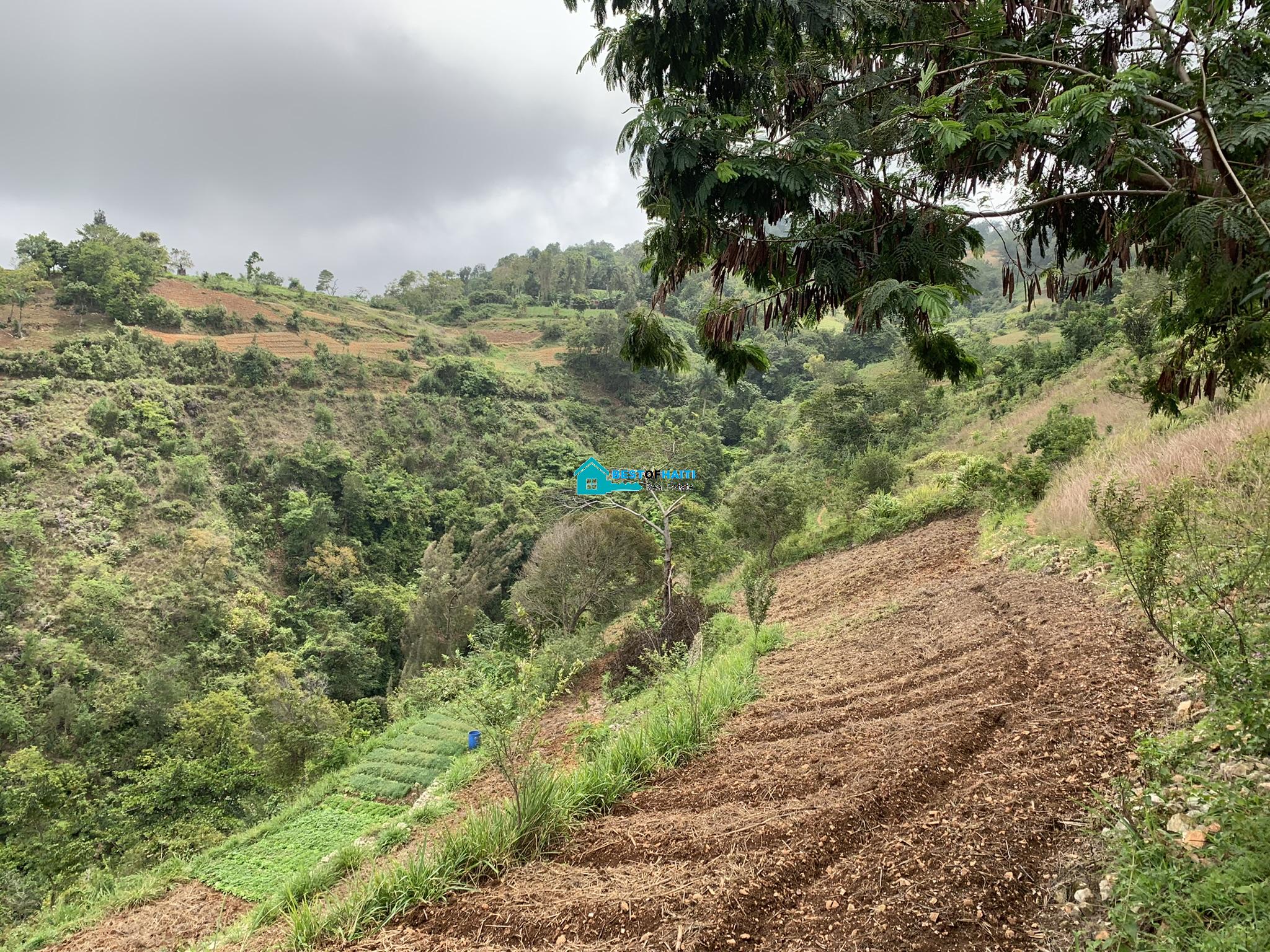 Cheap, Ready to Farm Land for Sale in Fort Jacques, Kenscoff, Haiti Cheap, Ready to Farm Land for Sale in Fort Jacques, Kenscoff, Haiti