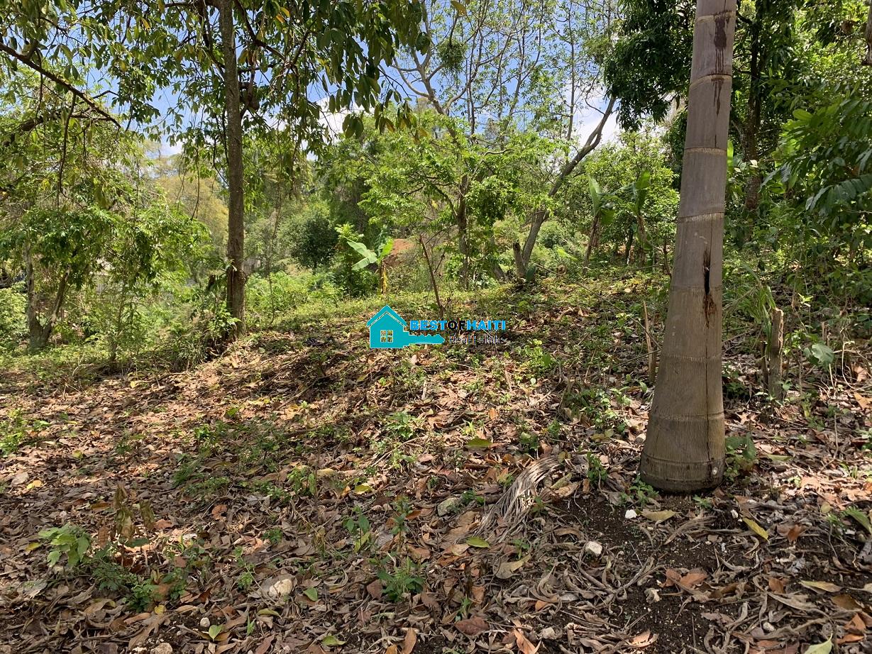 1,032 M2 (8 Centiemes) Flat Land for Sale in Malik, Petionville, Haiti 1,032 M2 (8 Centiemes) Flat Land for Sale in Malik, Petionville, Haiti