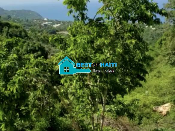 Land for Sale in Magayorse Cap-Haitian, Haiti - Beachfront OR Oceanview