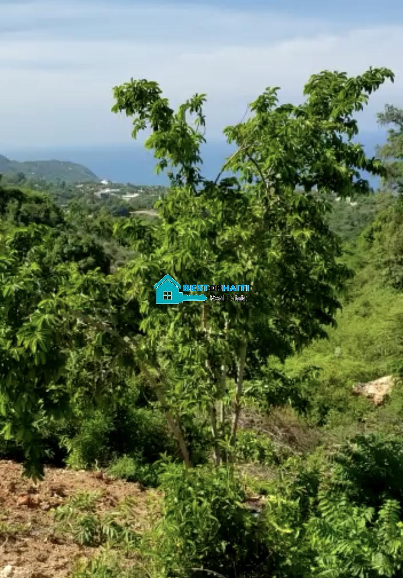 Land for Sale in Magayorse Cap-Haitian, Haiti – Beachfront OR Oceanview Land for Sale in Magayorse Cap-Haitian, Haiti - Beachfront OR Oceanview