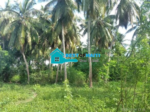 Oceanfront Land for Sale in Aquin, Lozandieu - Flat, Build-Ready