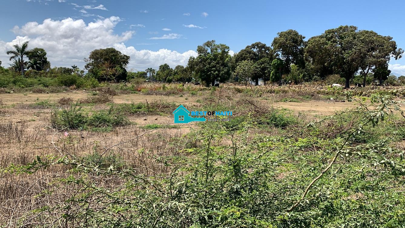 Construction OR Farm Land for sale in Cap-Haitian (Quartier Morin) Construction OR Farm Land for sale in Cap-Haitian (Quartier Morin)