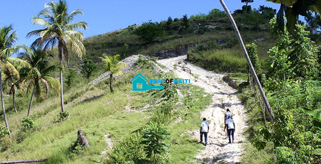 Can Anyone Buys or Sells Properties and/or Lands in Haiti?