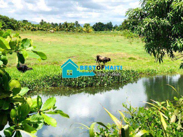 Ocean-view, Flat Land for Sale in Torbeck, Les Cayes, Haiti