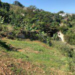 Fertile Rich Soil Land for Sale in Montagne Noire, Petion-Ville, Haiti