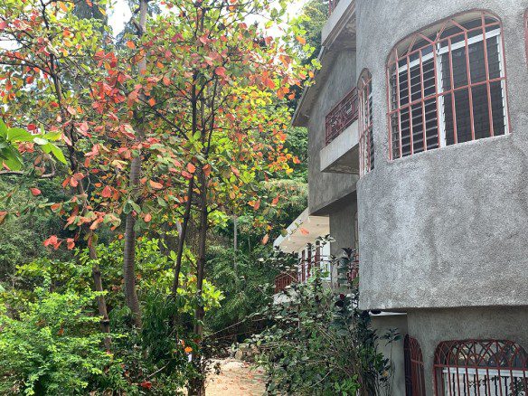 Spacious Studio Apartment for Rent, Musseau, Petion-Ville, Haiti