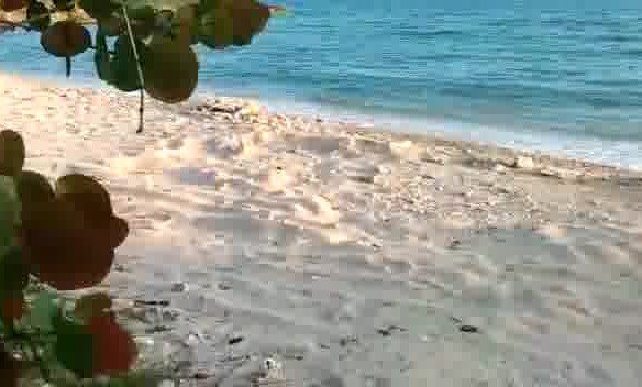 Private Beachfront Land for Sale in Les Cayes, Port Salut, Haiti
