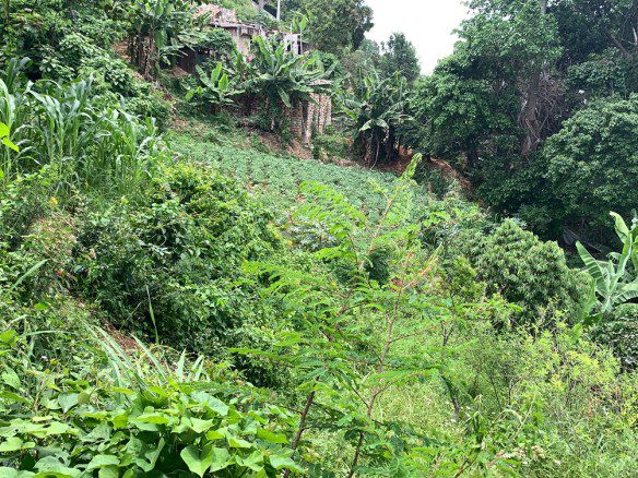 Fertile Land for Sale, Montagne Noire, Petion-Ville, Kenscoff Haiti