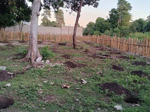 Cheap Land Sale in Morne Rouge, Cap-Haitian, Haiti - 4 Centiemes