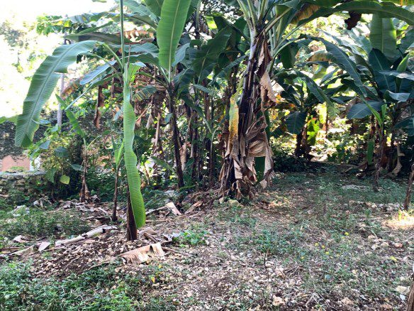 Prime Piece of Land for Sale Montagne Noire 27, Petion-Ville, Haiti