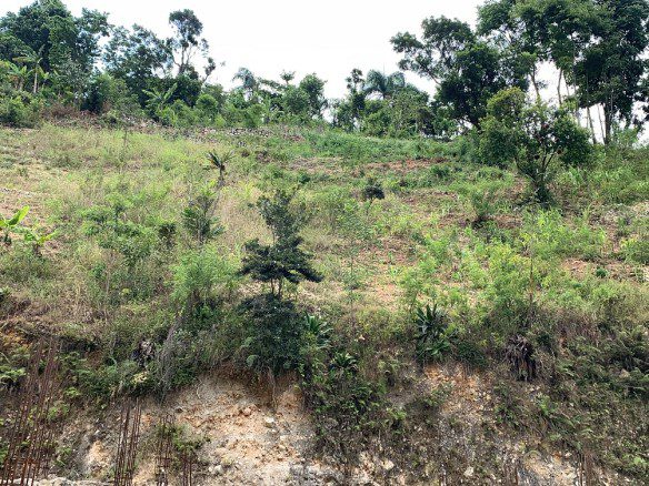 Quality Land for Sale in Montagne Noire, Petion-Ville, Haiti - 774m2