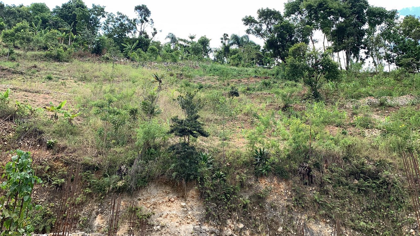 Quality Land for Sale in Montagne Noire, Petion-Ville, Haiti - 774m2