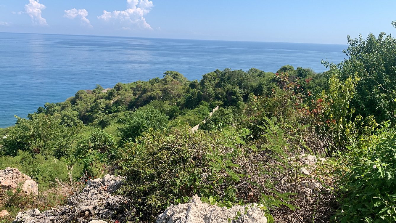Breathtaking Ocean View Land for Sale in Cap-Haitian, Haiti