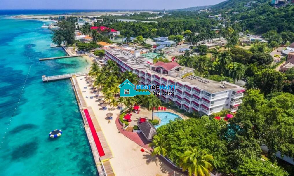 Buy a House in Haiti: Best Neighborhoods to Purchase a Home