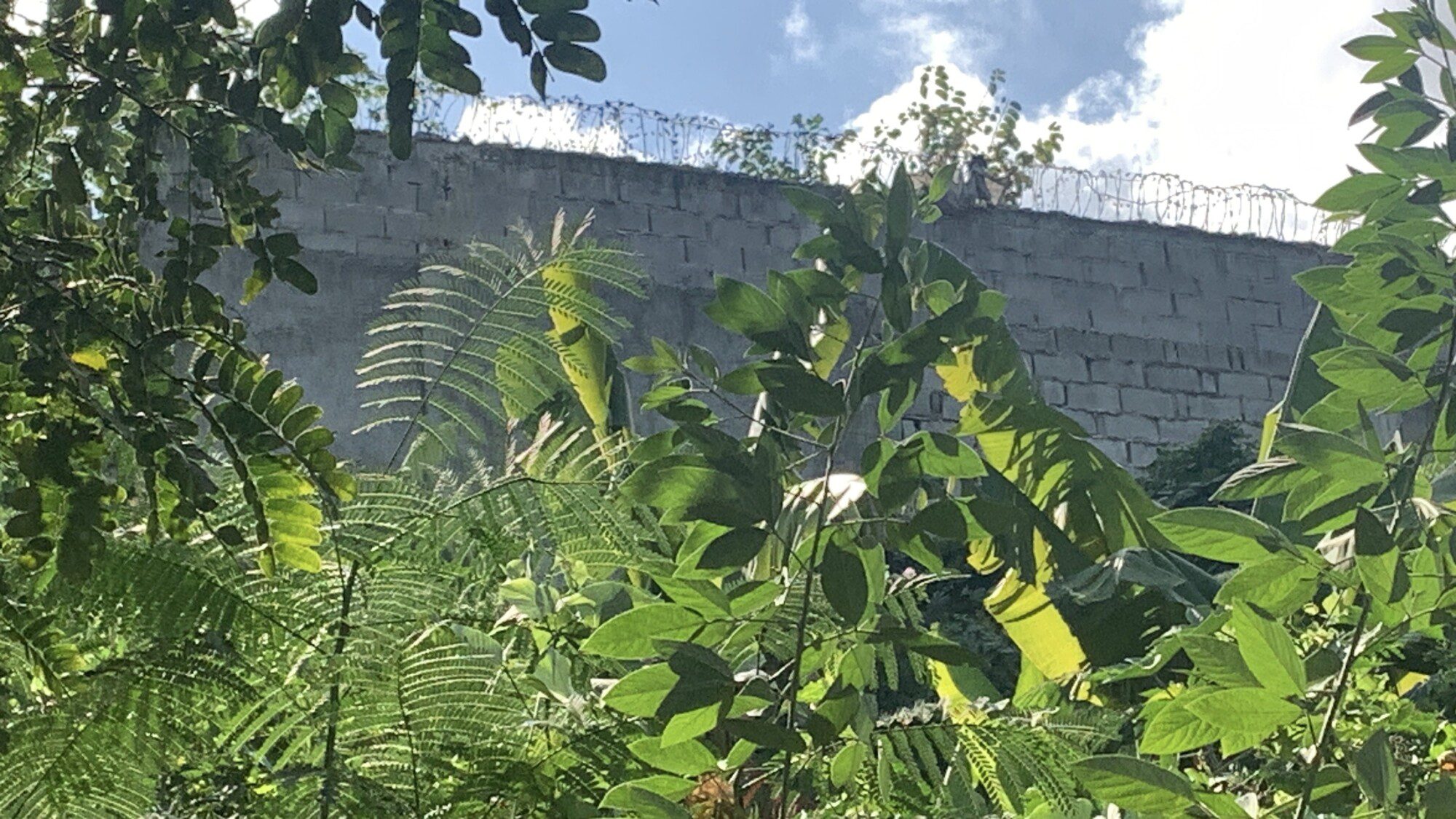 Prime Commercial Land for Sale, Petion-Ville, City Center, Haiti