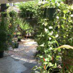 Roomy House for Sale, Petionville (City Center), Haiti: 3 Bedrooms