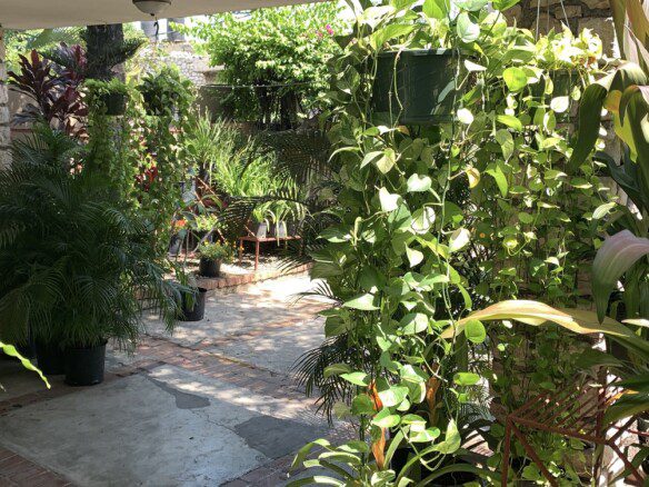 Roomy House for Sale, Petionville (City Center), Haiti: 3 Bedrooms