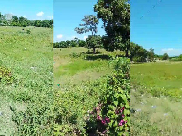 Low-Price Land for Sale, Limonade (MSC Plus Area), Cap-Haitien