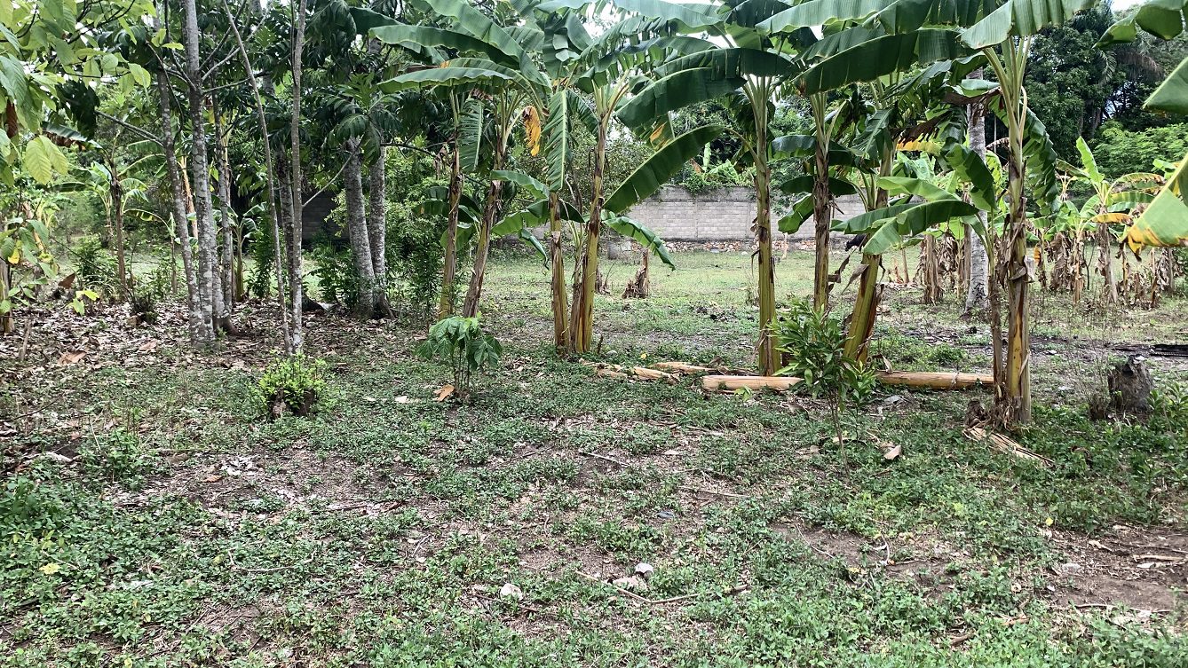 Cheap Fully Fenced Land for Sale + House in Lori, Cap-Haitien