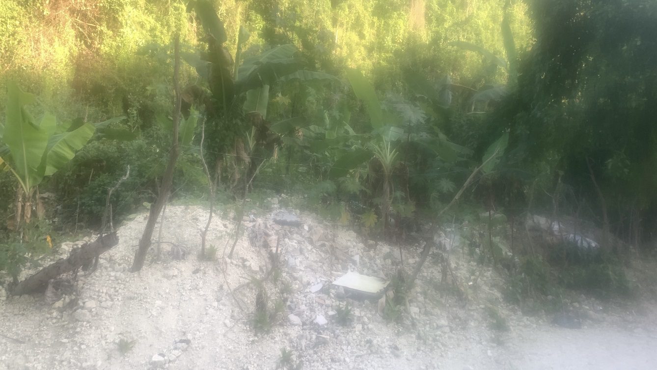Cheap Mountain Top Land for Sale in Marlique, Petion-Ville, Haiti