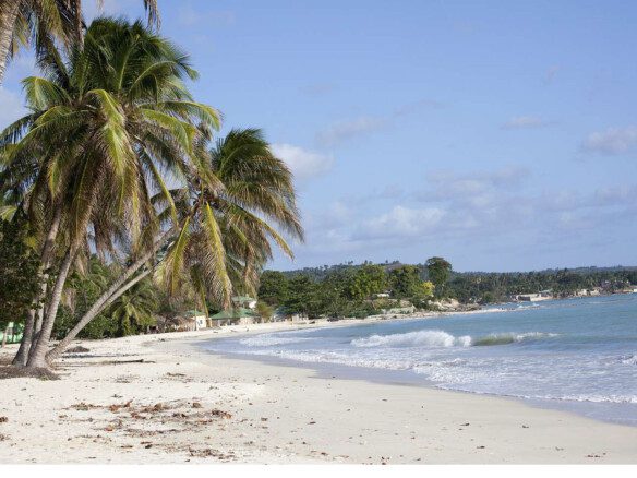 Cheap Private Beachfront Land for Sale in Port-Salut, South Haiti