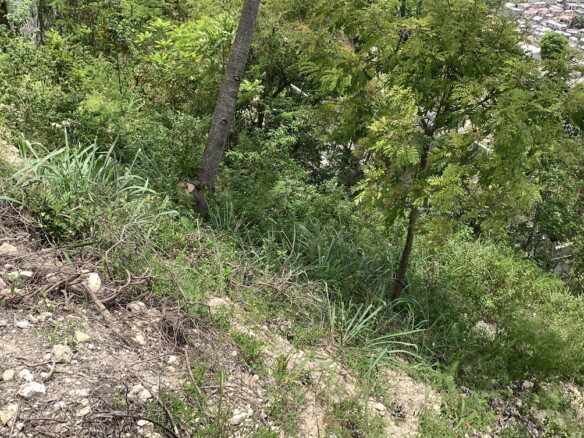 Cheap Residential Land in Marlique for Sale, Petion-Ville, Haiti