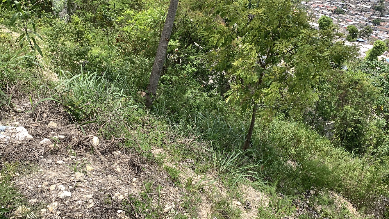 Cheap Residential Land in Marlique for Sale, Petion-Ville, Haiti