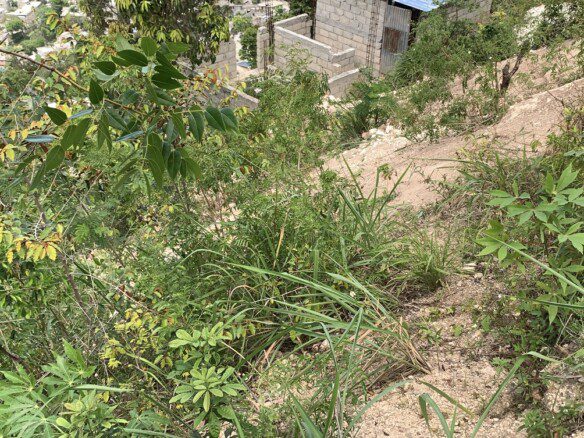 Cheap Residential Land Sale in Marlique, Petion-Ville, Haiti - 387m²