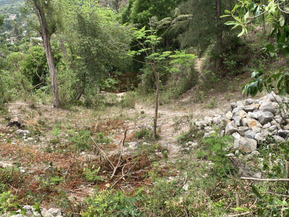 High-value Residential Land Sale in Marlique, Petion-Ville, Haiti