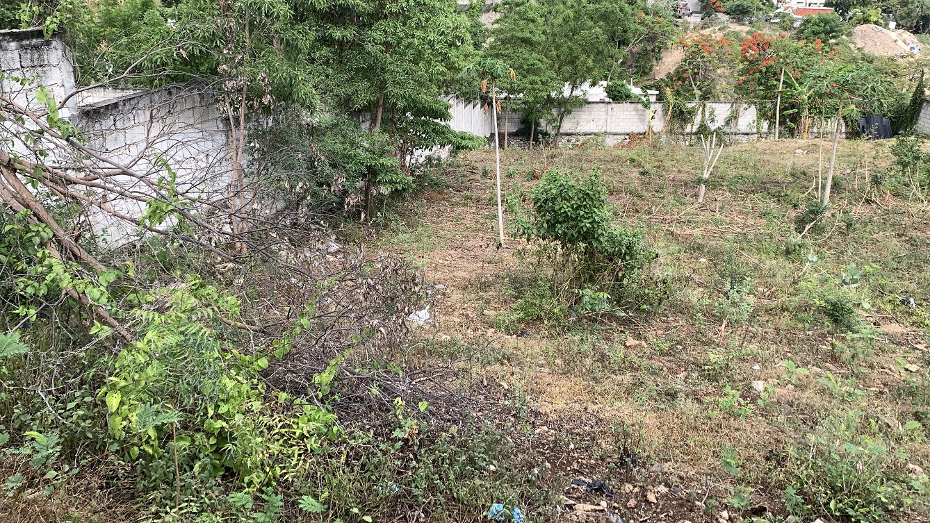 Prime, Flat, Built-Ready, Fully Fenced, Sold-by-Owner, Clear Title Land for Sale, Delmas 83, Port-au-Prince, Haiti – Located in Residential, Safe, Secure Neighborhood with Nice Paved Roads – 10 Centiemes (1,290m2, 13,885 Square Feet, or 0.23 Acres) – Ideal for House Construction, Apartment Complex, Office Building, Airbnb, and More…