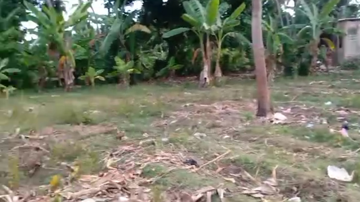 Affordable Prime Ocean View Land for Sale, Cyvadier Beach, Jacmel, Haiti – 10.50 Centiemes (1,354.50m², 14,579.72ft², or 0.336 Acres) – Walking Distance to the Ocean, Accessible, Good Roads, One of the Safest Neighborhoods in the South, Flat, Build-Ready – Ideal for a Residential House or Home,  Luxury Apartment Complex, Hotel, Airbnb, Bed & Breakfast, Assisted Living Facility, Farming, and More…