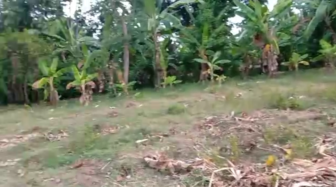 Affordable Prime Ocean View Land for Sale, Cyvadier Beach, Jacmel, Haiti – 10.50 Centiemes (1,354.50m², 14,579.72ft², or 0.336 Acres) – Walking Distance to the Ocean, Accessible, Good Roads, One of the Safest Neighborhoods in the South, Flat, Build-Ready – Ideal for a Residential House or Home,  Luxury Apartment Complex, Hotel, Airbnb, Bed & Breakfast, Assisted Living Facility, Farming, and More…