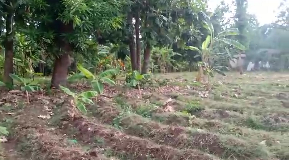 Affordable Prime Ocean View Land for Sale, Cyvadier Beach, Jacmel, Haiti – 10.50 Centiemes (1,354.50m², 14,579.72ft², or 0.336 Acres) – Walking Distance to the Ocean, Accessible, Good Roads, One of the Safest Neighborhoods in the South, Flat, Build-Ready – Ideal for a Residential House or Home,  Luxury Apartment Complex, Hotel, Airbnb, Bed & Breakfast, Assisted Living Facility, Farming, and More…