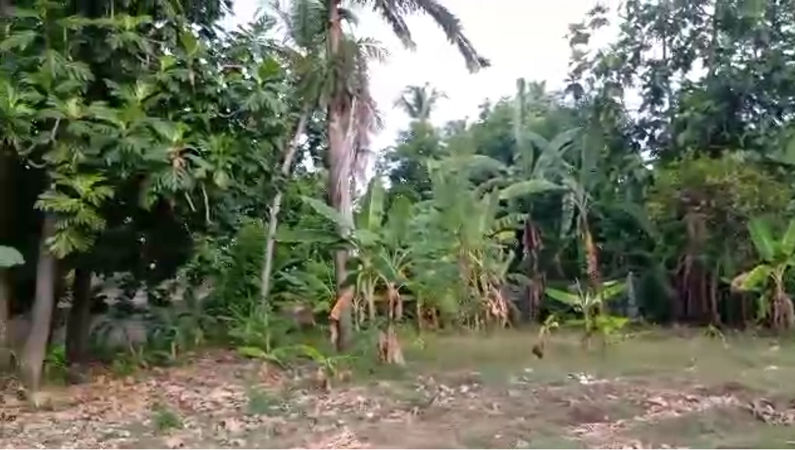 Affordable Prime Ocean View Land for Sale, Cyvadier Beach, Jacmel, Haiti – 10.50 Centiemes (1,354.50m², 14,579.72ft², or 0.336 Acres) – Walking Distance to the Ocean, Accessible, Good Roads, One of the Safest Neighborhoods in the South, Flat, Build-Ready – Ideal for a Residential House or Home,  Luxury Apartment Complex, Hotel, Airbnb, Bed & Breakfast, Assisted Living Facility, Farming, and More…