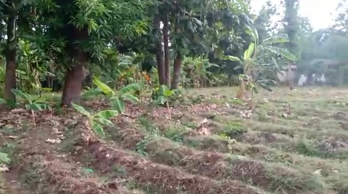 Affordable Prime Ocean View Land for Sale, Cyvadier Beach, Jacmel, Haiti – 10.50 Centiemes (1,354.50m², 14,579.72ft², or 0.336 Acres) – Walking Distance to the Ocean, Accessible, Good Roads, One of the Safest Neighborhoods in the South, Flat, Build-Ready – Ideal for a Residential House or Home,  Luxury Apartment Complex, Hotel, Airbnb, Bed & Breakfast, Assisted Living Facility, Farming, and More…
