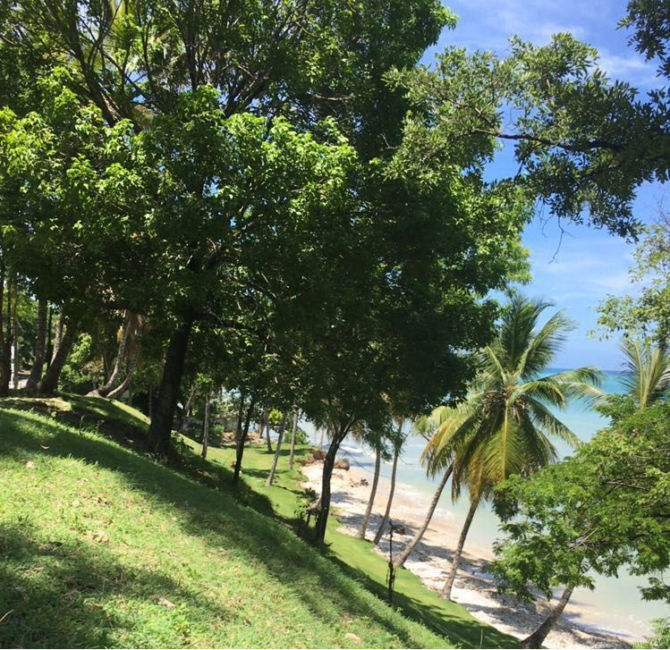 Cheap & Stunning Oceanfront Land for Sale in Port-Salut, Haiti – 13.18 Centiemes (1,700m², 18,298.65ft², or 0.42 Acres) – Super Clean Private Beach, Accessible, Completely Paved Roads, One of the Safest Neighborhoods in the South Overlooking The Turquoise Blue Caribbean Sea, Flat, Build-Ready – Ideal for a Residential House, Home, Cottage or Mansion,  Luxury Apartment Complex, Hotel, Airbnb, Bed & Breakfast, Assisted Living Facility and More…
