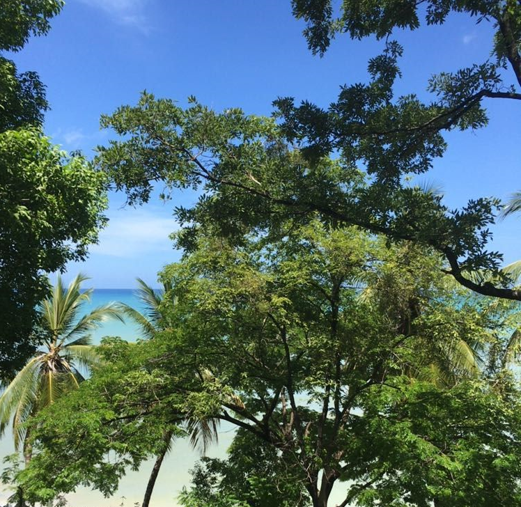 Cheap & Stunning Oceanfront Land for Sale in Port-Salut, Haiti – 13.18 Centiemes (1,700m², 18,298.65ft², or 0.42 Acres) – Super Clean Private Beach, Accessible, Completely Paved Roads, One of the Safest Neighborhoods in the South Overlooking The Turquoise Blue Caribbean Sea, Flat, Build-Ready – Ideal for a Residential House, Home, Cottage or Mansion,  Luxury Apartment Complex, Hotel, Airbnb, Bed & Breakfast, Assisted Living Facility and More…