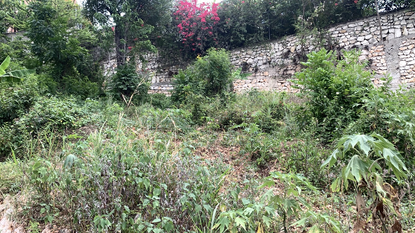 Premium Residential Land + Small 2-Bedroom , 1 Bath House for Sale in Pelerin 6 & 4 Petion-Ville, Haiti – 8 Centiemes (1,032m², 11,108ft², or 0.25 Acres) with Nicely Paved Roads, 100% Suburban Neighborhood, Highly Secure with Private Security Force, Flat, Build-Ready, 3-Way Fenced, Gated – Expensive Luxury Houses,  Apartment Complexes, Embassies, and Ambassadors in Area