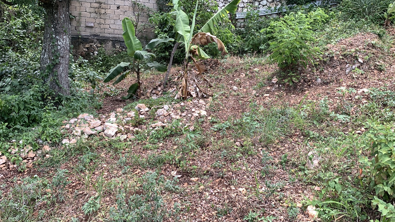 Premium Residential Land + Small 2-Bedroom , 1 Bath House for Sale in Pelerin 6 & 4 Petion-Ville, Haiti – 8 Centiemes (1,032m², 11,108ft², or 0.25 Acres) with Nicely Paved Roads, 100% Suburban Neighborhood, Highly Secure with Private Security Force, Flat, Build-Ready, 3-Way Fenced, Gated – Expensive Luxury Houses,  Apartment Complexes, Embassies, and Ambassadors in Area