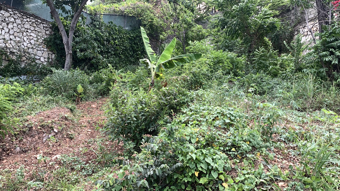 Premium Residential Land + Small 2-Bedroom , 1 Bath House for Sale in Pelerin 6 & 4 Petion-Ville, Haiti – 8 Centiemes (1,032m², 11,108ft², or 0.25 Acres) with Nicely Paved Roads, 100% Suburban Neighborhood, Highly Secure with Private Security Force, Flat, Build-Ready, 3-Way Fenced, Gated – Expensive Luxury Houses,  Apartment Complexes, Embassies, and Ambassadors in Area